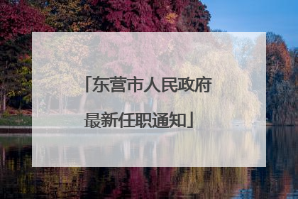 东营市人民政府最新任职通知