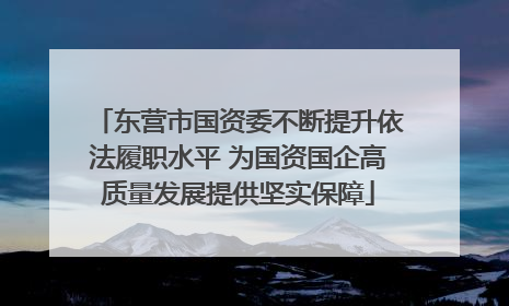 东营市国资委不断提升依法履职水平 为国资国企高质量发展提供坚实保障