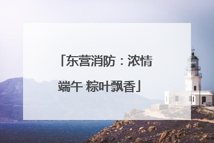东营消防：浓情端午 粽叶飘香