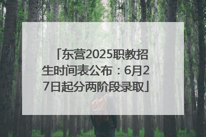东营2025职教招生时间表公布：6月27日起分两阶段录取