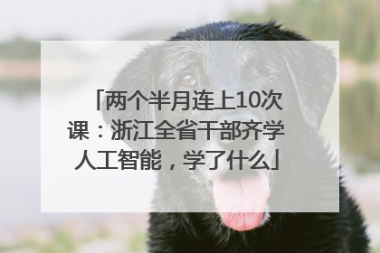 两个半月连上10次课：浙江全省干部齐学人工智能，学了什么