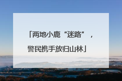 两地小鹿“迷路”，警民携手放归山林