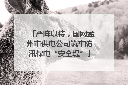严阵以待，国网孟州市供电公司筑牢防汛保电“安全堤”