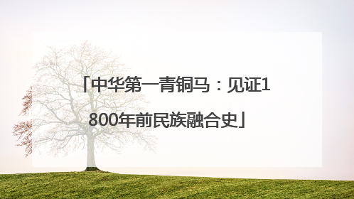 中华第一青铜马：见证1800年前民族融合史