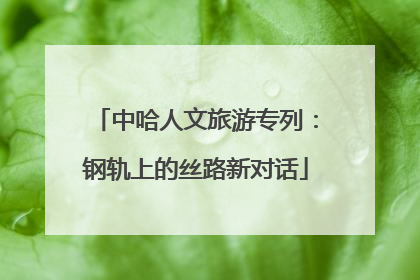 中哈人文旅游专列：钢轨上的丝路新对话