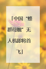 中国“蜂群母舰”无人机即将首飞