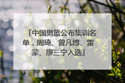 中国男篮公布集训名单，周琦、曾凡博、雷蒙、廖三宁入选