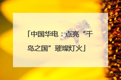 中国华电：点亮“千岛之国”璀璨灯火