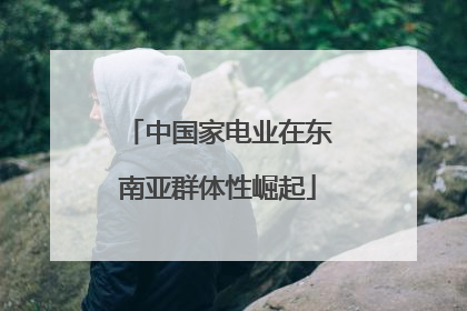 中国家电业在东南亚群体性崛起