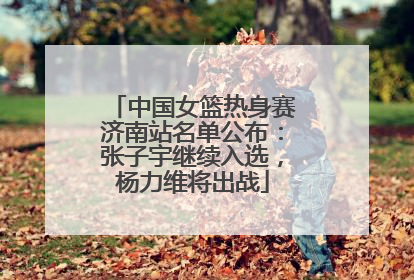 中国女篮热身赛济南站名单公布：张子宇继续入选，杨力维将出战