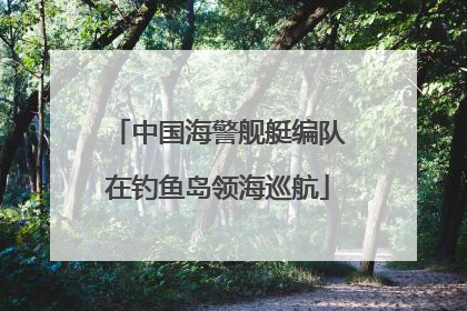 中国海警舰艇编队在钓鱼岛领海巡航