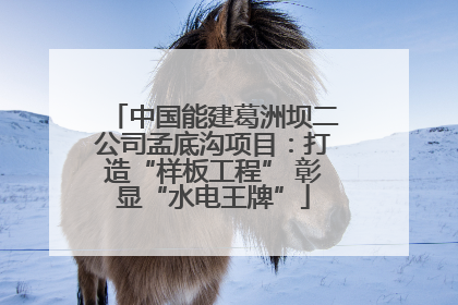 中国能建葛洲坝二公司孟底沟项目：打造“样板工程” 彰显“水电王牌”
