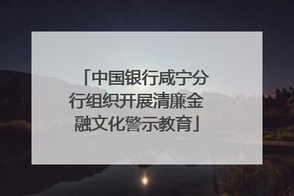 中国银行咸宁分行组织开展清廉金融文化警示教育