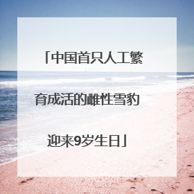 中国首只人工繁育成活的雌性雪豹迎来9岁生日