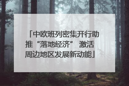 中欧班列密集开行助推“落地经济” 激活周边地区发展新动能