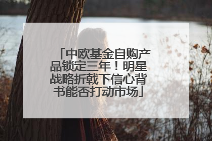 中欧基金自购产品锁定三年！明星战略折戟下信心背书能否打动市场