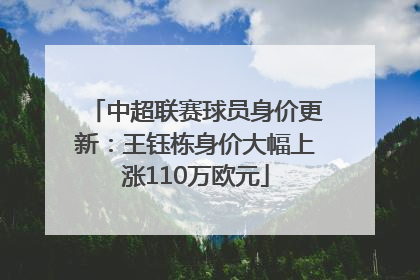 中超联赛球员身价更新：王钰栋身价大幅上涨110万欧元