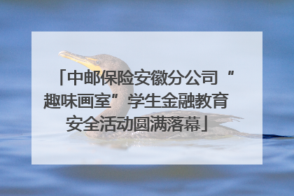 中邮保险安徽分公司“趣味画室”学生金融教育安全活动圆满落幕