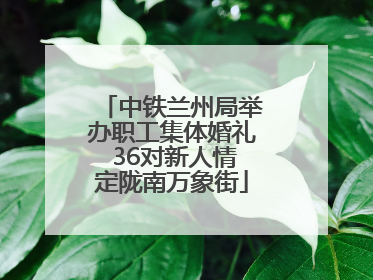 中铁兰州局举办职工集体婚礼 36对新人情定陇南万象街