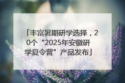 丰富暑期研学选择，20个“2025年安徽研学夏令营”产品发布