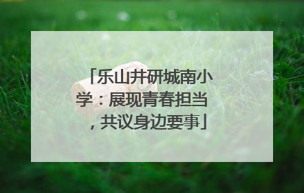乐山井研城南小学：展现青春担当，共议身边要事