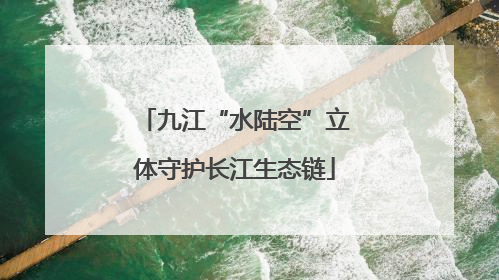 九江“水陆空”立体守护长江生态链