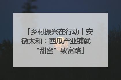 乡村振兴在行动丨安徽太和：西瓜产业铺就“甜蜜”致富路