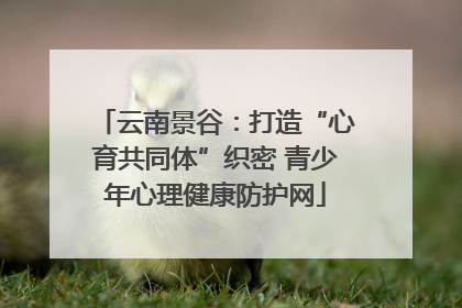 云南景谷：打造“心育共同体”织密 青少年心理健康防护网