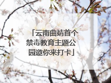 云南曲靖首个禁毒教育主题公园邀你来打卡