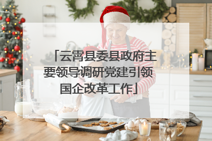云霄县委县政府主要领导调研党建引领国企改革工作