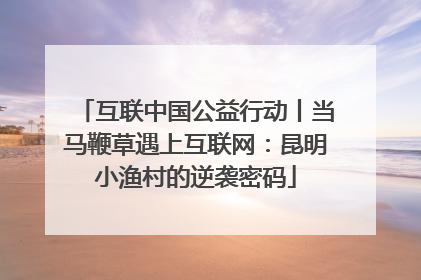 互联中国公益行动丨当马鞭草遇上互联网：昆明小渔村的逆袭密码