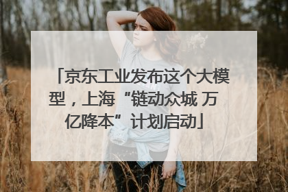 京东工业发布这个大模型，上海“链动众城 万亿降本”计划启动
