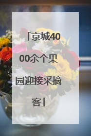 京城4000余个果园迎接采摘客