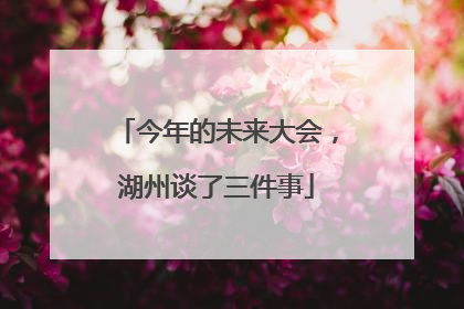 今年的未来大会，湖州谈了三件事