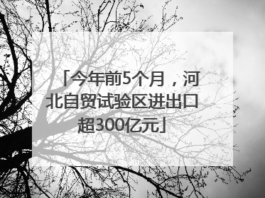 今年前5个月，河北自贸试验区进出口超300亿元