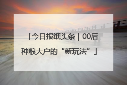 今日报纸头条｜00后种粮大户的“新玩法”