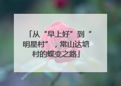 从“早上好”到“明星村”，常山达塘村的蝶变之路