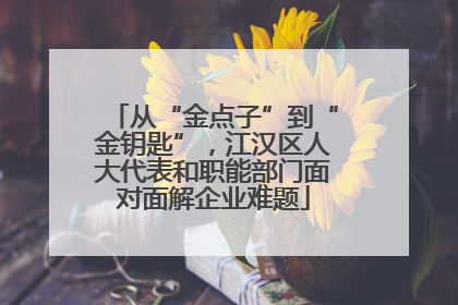 从“金点子”到“金钥匙”，江汉区人大代表和职能部门面对面解企业难题