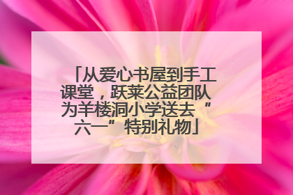 从爱心书屋到手工课堂，跃莱公益团队为羊楼洞小学送去“六一”特别礼物