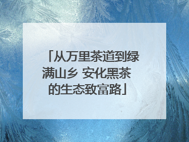 从万里茶道到绿满山乡 安化黑茶的生态致富路