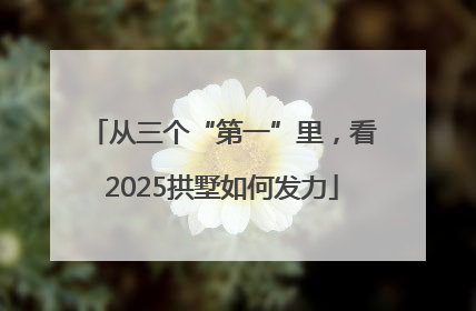 从三个“第一”里，看2025拱墅如何发力