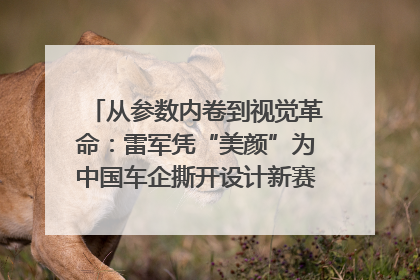 从参数内卷到视觉革命：雷军凭“美颜”为中国车企撕开设计新赛道｜封面车评
