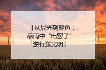 从晨光到暮色：暴雨中“电骡子”逆行送光明