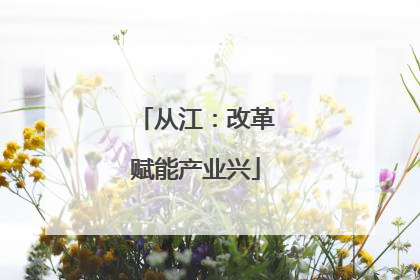 从江：改革赋能产业兴