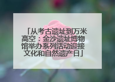 从考古遗址到万米高空：金沙遗址博物馆举办系列活动迎接文化和自然遗产日