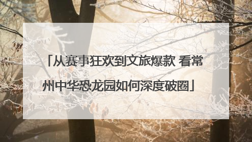 从赛事狂欢到文旅爆款 看常州中华恐龙园如何深度破圈