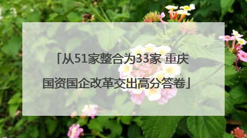 从51家整合为33家 重庆国资国企改革交出高分答卷
