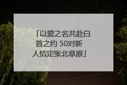 以爱之名共赴白首之约 50对新人情定张北草原