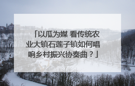 以瓜为媒 看传统农业大镇石莲子镇如何唱响乡村振兴协奏曲？