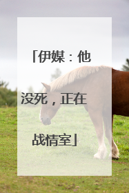 伊媒：他没死，正在战情室